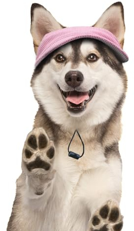 BASVII Cappello da Baseball per Cani in Morbido Velluto a Coste, Dimensioni regolabili, Come Abbigliamento per Cani da Compagnia, per la Decorazione e la Protezione Solare (XL, Rosa)