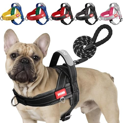 LiebeDD Harnais Chien avec Laisse, Harnais Bouledogue Français, Arnet Chien Réfléchissant Harnet Coloré à Blocs de Couleurs Reglable pour Chiot Petit et Moyen Chiens, Noir + Gris, S