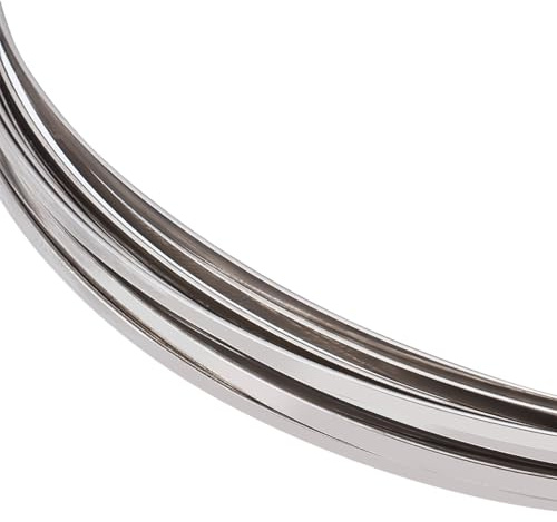 BENECREAT Filo Piatto In Acciaio Inossidabile Da 0.8 mm, Filo Metallico Per Artigianato Largo 7 M E 2.6 Mm, Ideale Per Gioielli E Artigianato