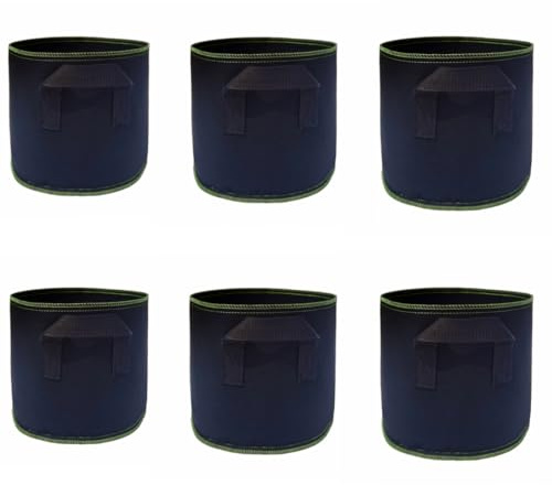 QIGEN LTD 6Pcs 5 Gallon Plant Grow Bags Breathable Nonwoven Fabric Plant Growing Bags Garden Planter Bags Containers with Handles for Vegetables Flowers Potato Tomato Carrot