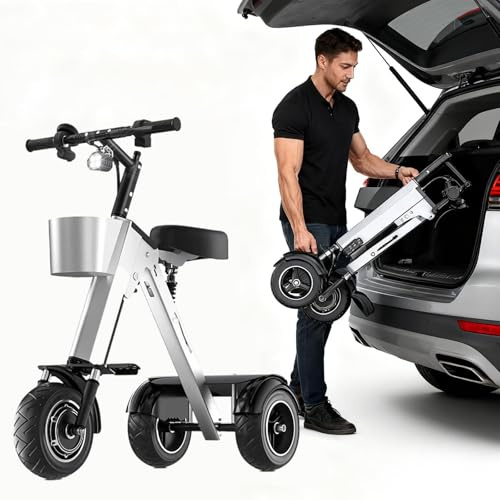 Patinete De 3 Ruedas Para Adultos, Ligero Y Plegable,con Marcha Atrás, Patinete De Movilidad Para Personas Mayores, Con Batería Extraíble 36 V Y 10 Ah, Para Desplazamientos Y Viajes(For 2 People)
