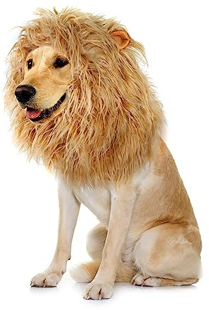 Onmygogo Parrucca da criniera di leone per cani con orecchie, divertente costume per animali domestici, per Halloween e Natale (M, giallo)