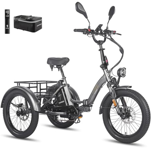 Fafrees Dreirad e Bike F20 Mate, E-Bike 3 Rad 48V 21Ah Akku, E Bike Klapprad 20 * 3.0 Zoll, 65N.m Elektro Dreirad Lasten für Erwachsene (Kleiner Korb, Grau)
