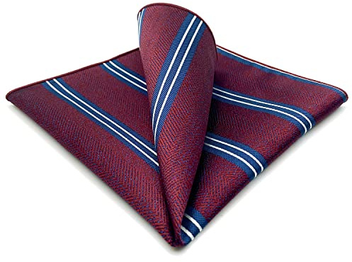 S&W SHLAX&WING Pocket Squares for Men Striped Stripes Business Gift Blue Brown