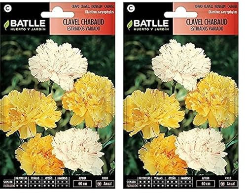 Semillas Batlle Clavel Chabaud ESTRIADOS VDO. (Paquete de 2)