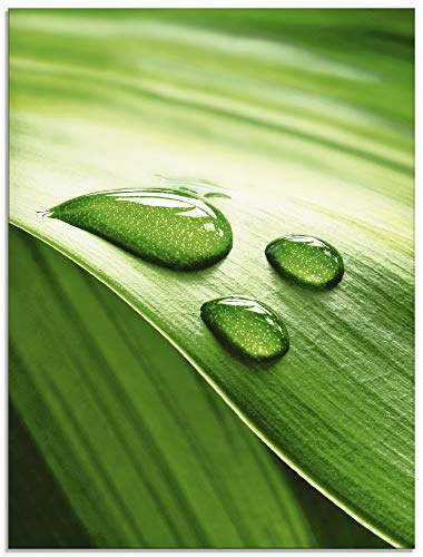 ARTland Wanddeko Glasbilder Wandbild Glas Bild einteilig 45x60 cm Hochformat Natur Pflanzen Blätter Wassertropfen Zen S6RI