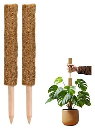 La cordeline - Lote de 2 tutores de Plantas trepadoras (60 cm, Soporte de Coco Natural, extensión Tutor para Monstera, jardín, Planta casera, marrón