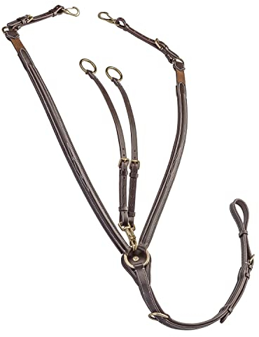 Sunride Vorderzeug Windsor aus Echtleder mit Martingal für Pferde - elastisch, verstellbar (Cob, braun)