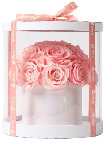 Dekun Caja Redonda de Regalo de Flores Preservadas Regalo de Flores Preservadas para Ella 19 Rosas Rosas Preservadas - Regalo de Cumpleaños (Rosas Champán)