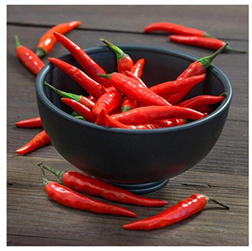 levandeo Quadro in Vetro 30x30 cm Quadro da Parete peperoncini in Vetro Decorazione Cucina Baccello