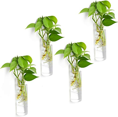 Vumdua Fioriere da appendere alla parete, 4 pezzi, terrario in vetro da appendere, vaso per piante in vetro, perfetto per propagare piante idroponiche, casa, giardino, decorazione per matrimoni