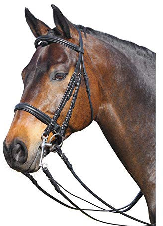 Euroriding Kandare Leder in schwarz, Beschläge:Edelstahl, Form:Pony