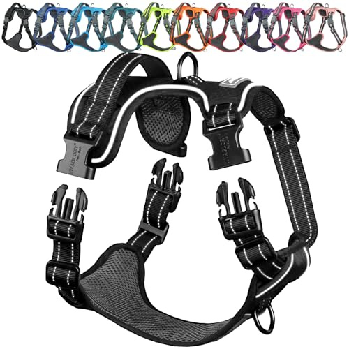VIVAGLORY Anti Zieh Geschirr für Hunde Hundegeschirr, S, Schwarz, A