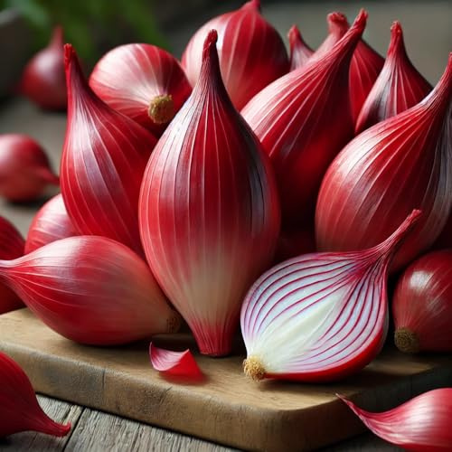 22Day Seeds: Seeds Red Banana Shallot Onion/Non GMO/Heirloom