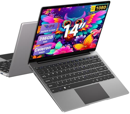 Ordenador portátil 14 Pulgadas N4020 hasta 2,8 GHz Portátil 8GB LPDDR4 RAM 256GB SSD Soporte 1TB SSD Expansión portatil 2.4G+5G WiFi BT4.2 USB, WiFi, Mini-HDMI, 1920*1080 IPS HD Pantalla-Gray-B
