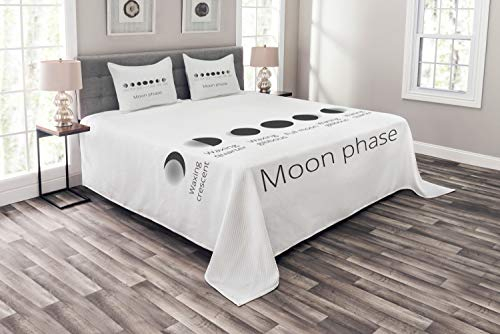 ABAKUHAUS Mond Phase Tagesdecke Set, Astronomie Infografik, Set mit Kissenbezügen Sommerdecke, für Doppelbetten 264 x 220 cm, Maulwurf Grau Dunkelgrau