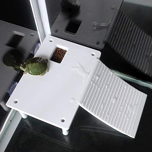 Plate-Forme de Tortue, Roches Non Toxiques, avec Un récipient de Nourriture pour Les Tortues Aquatiques Newt, Grenouilles pour Les Tortues d'aquarium