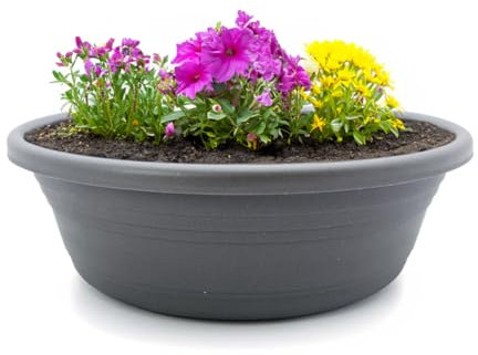 Macetero y platillo como cuenco para plantas resistente a la intemperie con agujero, maceta grande de 35 cm en color gris como maceta redonda, resistente a las heladas para exteriores, maceta para