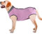 Wundschutzmantel für Hunde, Bauchwundschutz, medizinische OP-Bekleidung, postoperative Weste, für Welpen, Katzen, Haustiere, ersetzt Elizabeth-Halsband und Halskragen-Trichter (L, Grau)