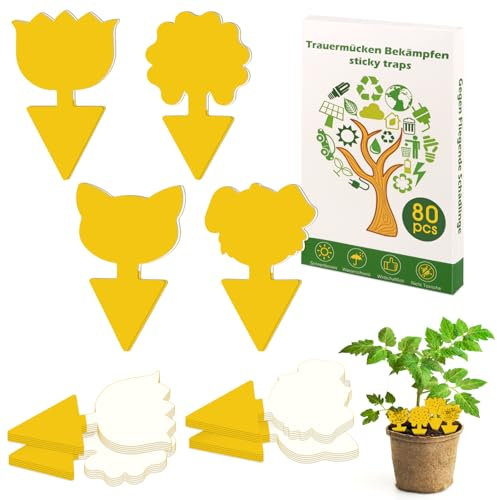 80 Pièces Anti Moucherons Interieur,Attrape Moucheron,Sûr,sans Odeuranti Moucherons Interieur Cuisine Protection des Intérieur Plantes,Fleur Fruits