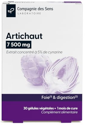 Artichaut concentré - 7500 mg par jour – Titré à 5% cynarine – 1 mois de cure intensive