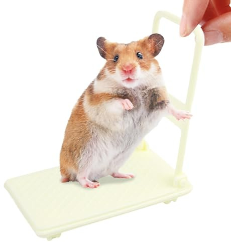 pour Hamster Panier Pliable à roulettes