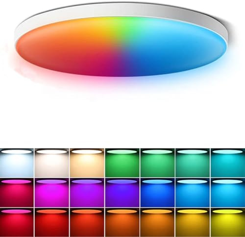 Plafón LED Techo Inteligente WiFi 24W, 2700K-6500K,Diseño Moderno
