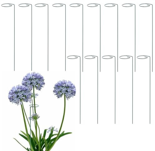 CHUIFAI Lot de 14 supports pour plantes de jardin de 40 cm - En acier - Pour plantes, fleurs, tulipes, roses, lys, tomates