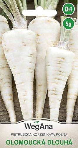 WegAna Prezzemolo radice Olomoucka Dlouha 5g (circa 4000 semi), Prezzemolo radice robusta Semi di ortaggi Semi di coltivazione per serra