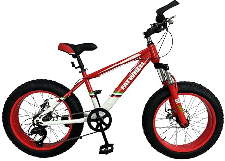 Royal Led FATWHEEL Bicicletta per bambini misura 20, Fat Bike con Freni a Disco, Ruote Grosse Antiscivolo, Telaio Robusto, Bici per Ragazzi 7-12 Anni, MTB per Tutti i Terreni