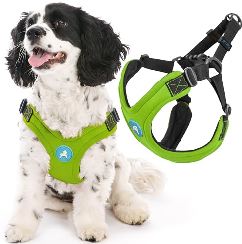 Gooby Escape Free Sport Harness - Lime, Small - No Choke Step-in Patented Neoprene Dog Harness with Four-Point Adjustment for Small to Medium Dogs