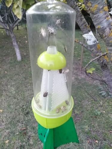 Ökologische asiatische Wanzenfalle + 2 Lockstoff Pheromone Kit Diablex