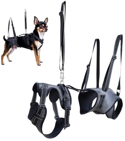 Harnais de levage pour chien – Harnais de soutien à la mobilité réglable pour les chiens âgés handicapés et âgés, gilet d'aide au transport pour personnes blessées à la mobilité réduite, entraînement