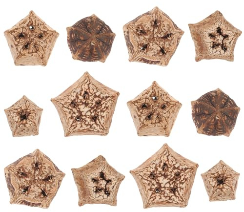 MERRYHAPY Giocattolo da Masticare per Uccelli 12 Pezzi, Accessori Naturali per Pappagalli da Mordere, Giocattoli per Gabbia Forma Unica per Stimolare e Migliorare la Salute Mentale