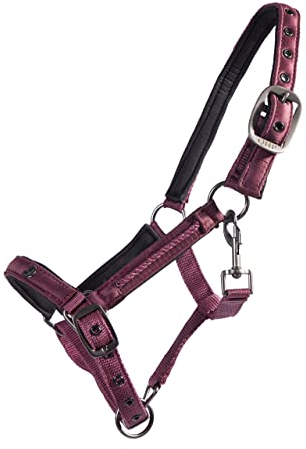 QHP Fohlen-Halfter Lily Zierkordel (Pony Fohlen, Bordeauxrot)
