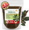 Garten Lux Ficus Terra 4L – 6 in 1 Terra speciale senza torba – Contro le zanzare lutto – Per Ficus Benjamina, elastico, lyrata, pumila, carica, microcarpa, Alii, benghalensis e molto altro ancora