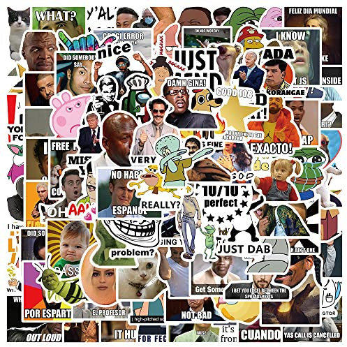 AUCEKO Aufkleber Pack 100 Stück lustige Meme Sticker Set wasserdichte Vinyl Sticker für Laptop Kinder Autos Motorrad Fahrrad Skateboard Gepäck Koffer Computer Coole Meme Aufkleber Graffiti Decal