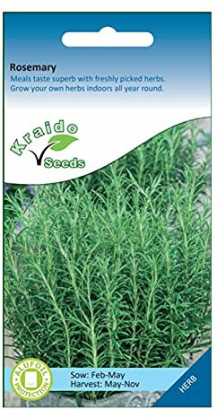 Rosemary Herb 75 Seeds Salvia Rosmarinus, Grow Your Own Herb Garden Indoors on a Windowsill or Outdoors in Pots and Containers