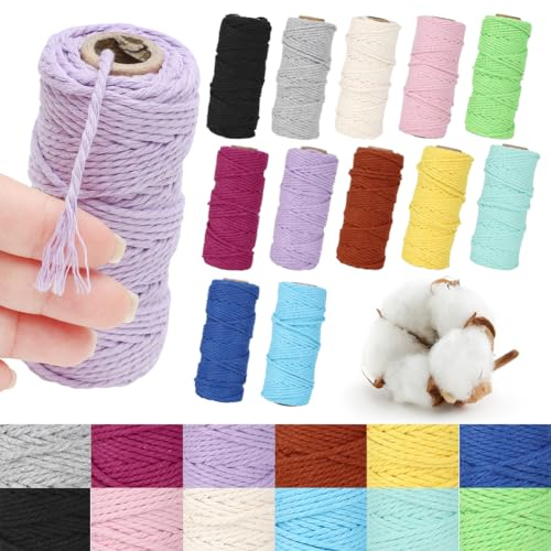 Tutamaz Makramee Garn 12Pcs x 3mm x 30M, Farbe Baumwollkordel 3mm Baumwollseil Baumwollschnur Macrame Garn für DIY Handwerk Basteln Boho Deko Vorhang Türvorhang Traumfänger Hochzeitsdekoration