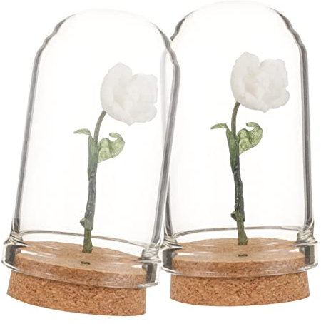 Cabilock Miniature Flower in Glass Dome Centerpiece 2pcs Mini Rose in Domes for Tiny House Decor