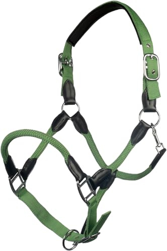 HKM Carlotta Halfter, Jade, Vollblut