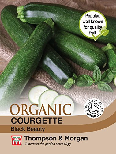 Thompson & Morgan - Courgette Black Beauty (Organic) - 15 Seeds