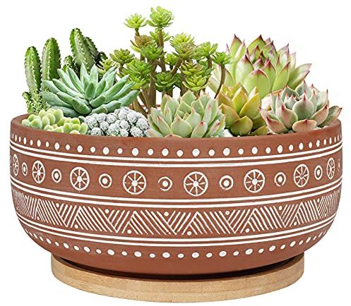 Thirtypot 20CM Terracotta Succulent Planter Pot with Drainage Hole and Bamboo Tray, Round Shallow Bonsai Pot for Indoor Plants