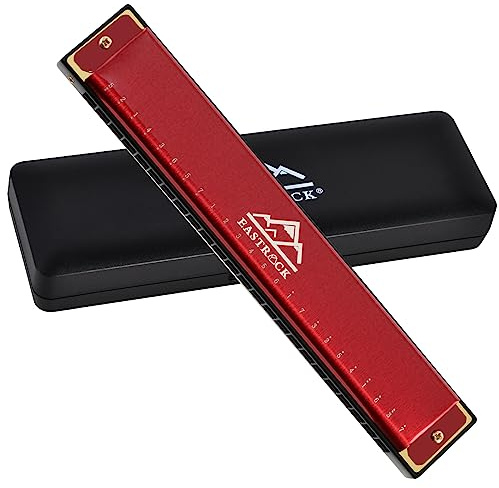 EastRock Harmonica 24 Holes 48 Tunes, Key of C, Mouth Organ for Beginners - Mini Blues Harmonica with Case and Cleaning Cloth (Red)