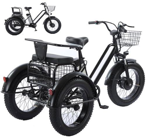 Vélo Cargo électrique Robuste pour Adulte, Charge maximale de 200 kg – Idéal pour Les trajets urbains Quotidiens, Batterie Amovible 48 V, autonomie de 35 km, prêt pour Le Voyage