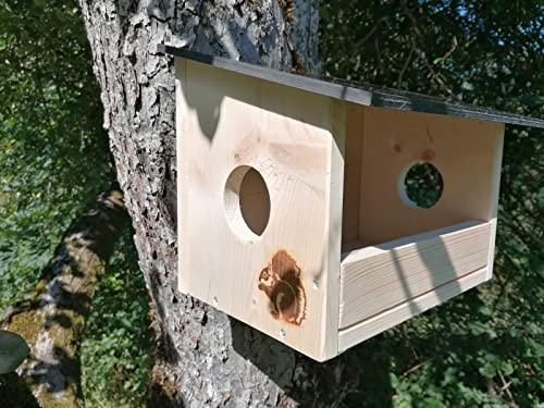 Woidwerk Manufaktur Eichhörnchenfutterhaus - Futterstation für Eichhörnchen von Hand gefertigt in Deutschland