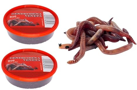 Dendrobena Regenwurm Rotwurm Würmer Groß ca. 30 Stück in 2 Dosen Lebendfutter, Angelköder, Haustierfutter, Reptilienfutter