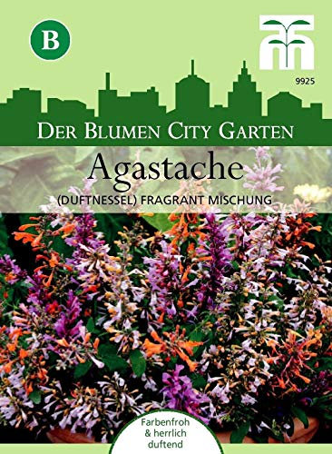 Portal Cool Fragancia Ortiga 'Fragrante Miscela' Agastache Aurantiaca Montaña Menta Aprox. 60 semi