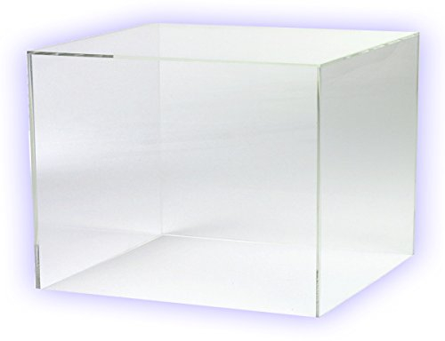 HOKU Holzhäuser Kunststofftechnik Acrylwürfel in. Grösse : 25cm x 25cm x 25cm Box, Acryl/Acrylglas, 5 transparente Seiten, klar (25 x 25 x 25cm)