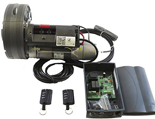 Kit DE Motor para Cierres ENROLLABLES con ELECTROFRENO 170 KG Cuadro DE MANIOBRAS Y 2 MANDOS Modelo PUJOL Winner PORTON COCHERA